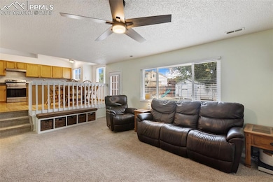 5933 Fossil Dr, Colorado Springs, CO 80923 - photo 6