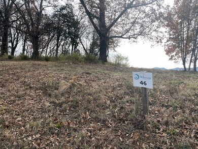 0 Quiet Cove Way Lot 46, Dandridge, TN 37725 - photo 6