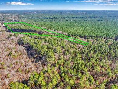 0 Pelican Rd unit 10571863, Shepherd, TX 77371 - photo 5