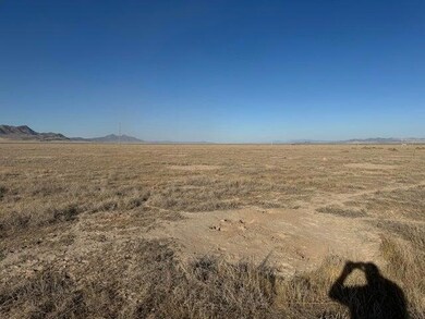 004. 2 Acre - Looking NorthEast