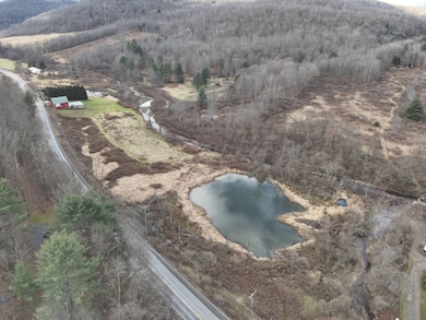 0 Pennsylvania 267, Choconut Township, PA 18818 - photo 2