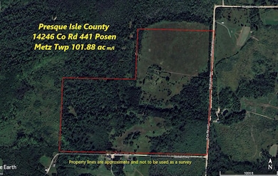 14246 County Road 441, Posen, MI 49776 - photo 2