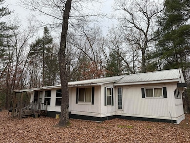 6644 W 9 Mile Rd, Irons, MI 49644 - photo 4