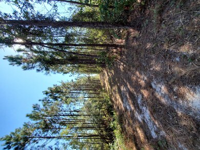 0 County Line Rd unit 20907517, Lee, FL 32059 - photo 6