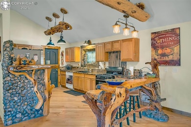 38 Mac Donnell Dr, Cotopaxi, CO 81223 - photo 6