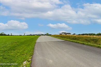 1021 Cordy- Looking into Subdivision