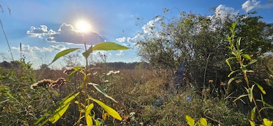 8692 E Baseline Rd, Mount Pleasant, MI 48858 - photo 3