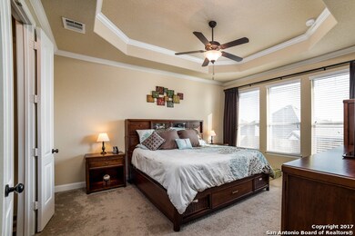 25946 Natal Plum, San Antonio, TX 78261 - photo 7