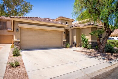 1142 N. Apollo Dr.