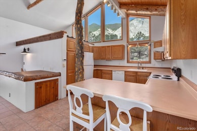 16715 Shadow Ln, Nathrop, CO 81236 - photo 3