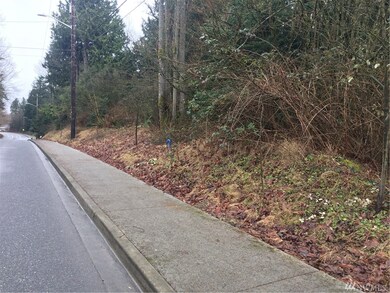 0 267th St NW unit 1088160, Stanwood, WA 98292 - photo 4