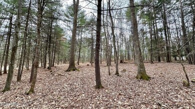 0 Long Ridge Rd unit PWBPW240661, Hawley, PA 18428 - photo 4