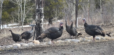 Photo provided by Owner