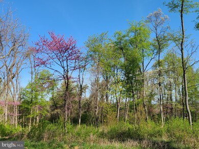 Lot 2 Langhorne, Winchester, VA 22602 - photo 7