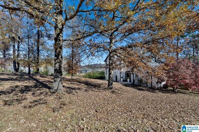 1014 Mountain Laurel Cir, Moody, AL 35004 - photo 5