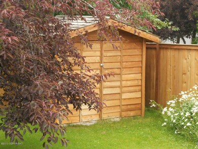 Backyard Shed