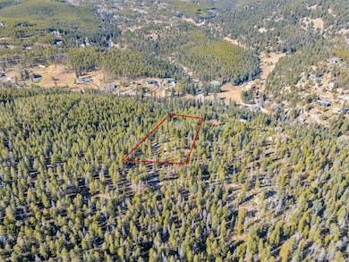 7624 Brook Forest Ln, Evergreen, CO 80439 - photo 4