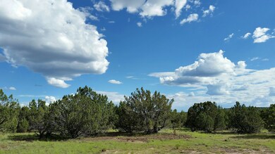 1639 Silver Lake Blvd, White Mountain Lake, AZ 85912 - photo 5