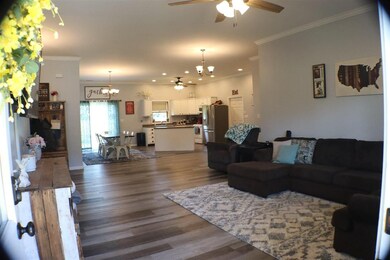 8358 E 1025th Ave, Effingham, IL 62401 - photo 4