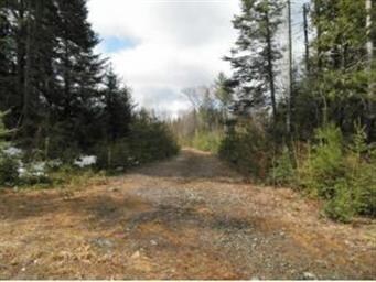 76 Hubberton Rd, Lyman, NH 03585 - photo 5