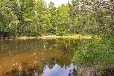 00 V/L W 13 Mile Rd unit Par E, Bitely, MI 49309 - photo 6