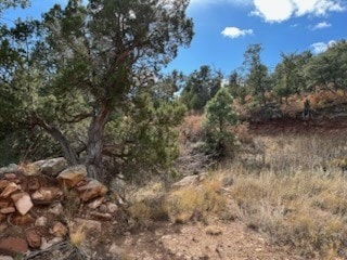 Tracts D1, D2-A, D2- Dragonfly Canyon Rd, Rowe, NM 87562 - photo 3