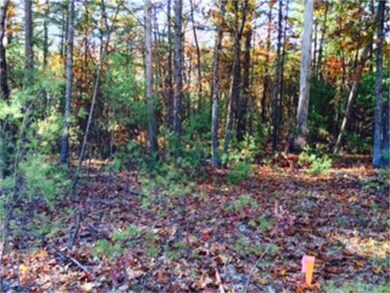 2 Alexander Way, Dunstable, MA 01827 - photo 4