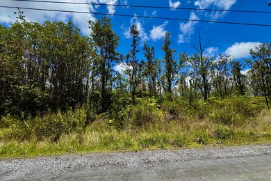 View into the middle of Lot 57.