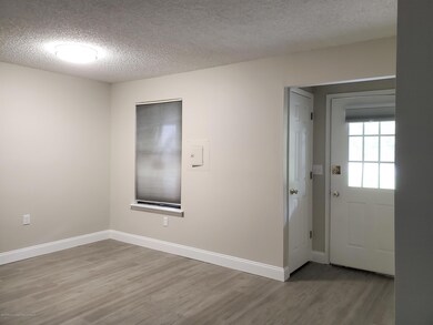 front door inside