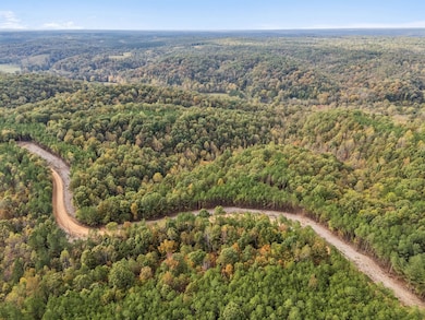 0 Old Mail Rd unit RTC2797249, Duck River, TN 38454 - photo 2