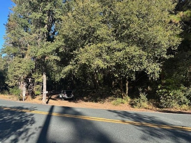 16272 State Route 26, Glencoe, CA 95232 - photo 2