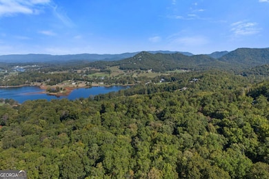 1148 Old Forge Estates, Hiawassee, GA 30546 - photo 6