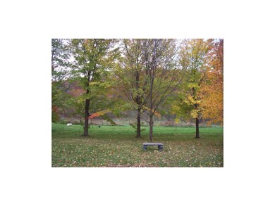Side Yard to the West of the Drive