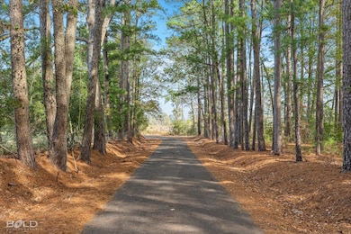 0 Pierce Rd, Logansport, LA 71049 - photo 3