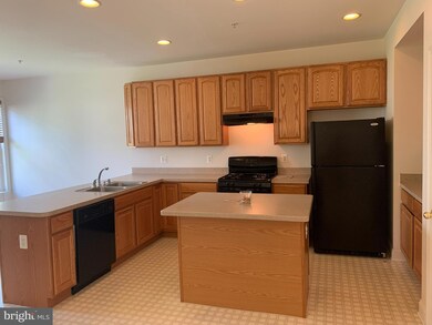 4304 Vintage Ivy Ln, Owings Mills, MD 21117 - photo 4