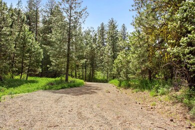 Driveway Looking West
