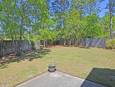 Backyard 3
