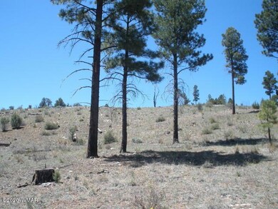 Pic1
