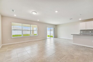 Model Representation