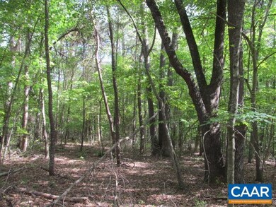 200 ac Buck Island Rd, Scottsville, VA 22902 - photo 7