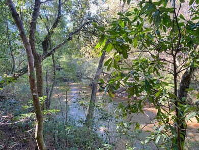 000 Kirklin Rd, Tylertown, MS 39667 - photo 2