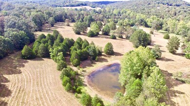 0 Farm Road 2100, Jenkins Township, MO 65605 - photo 5