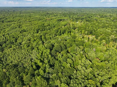 4314 Adams Rd, Lake, MI 48632 - photo 5