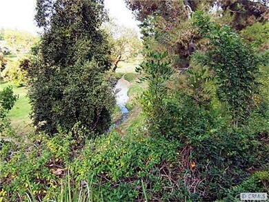 VIEW OF WILDERNESS AREA FROM WALK