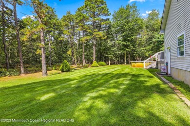 Backyard - Side view