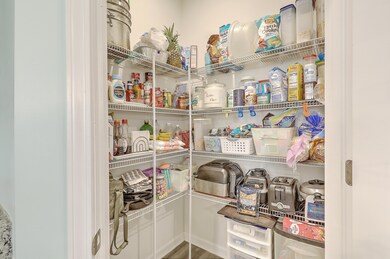 4993 Paddy Field Way, Lincolnville, SC 29485 - photo 5