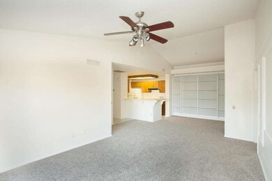 Elm_Tempe-21