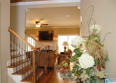 Large windows, plantation shutters, high ceilings,