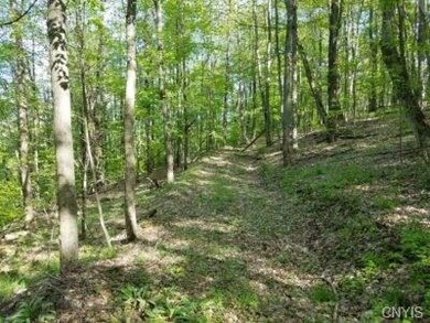 00 State Route 417, Greenwood, NY 14839 - photo 2