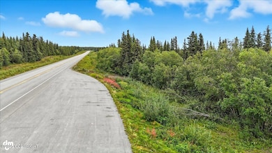 L9 Smokey Hills Subdivision, Glennallen, AK 99588 - photo 3